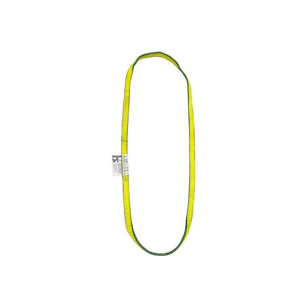 Lift America 10' Poly Web Sling Endless, 4900/6200/12400 Lbs Cap